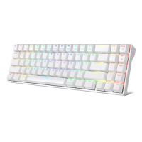 Royal Kludge RK71 Blue Switch RGB Hot Swappable Tri-Mode Wireless Mechanical Keyboard